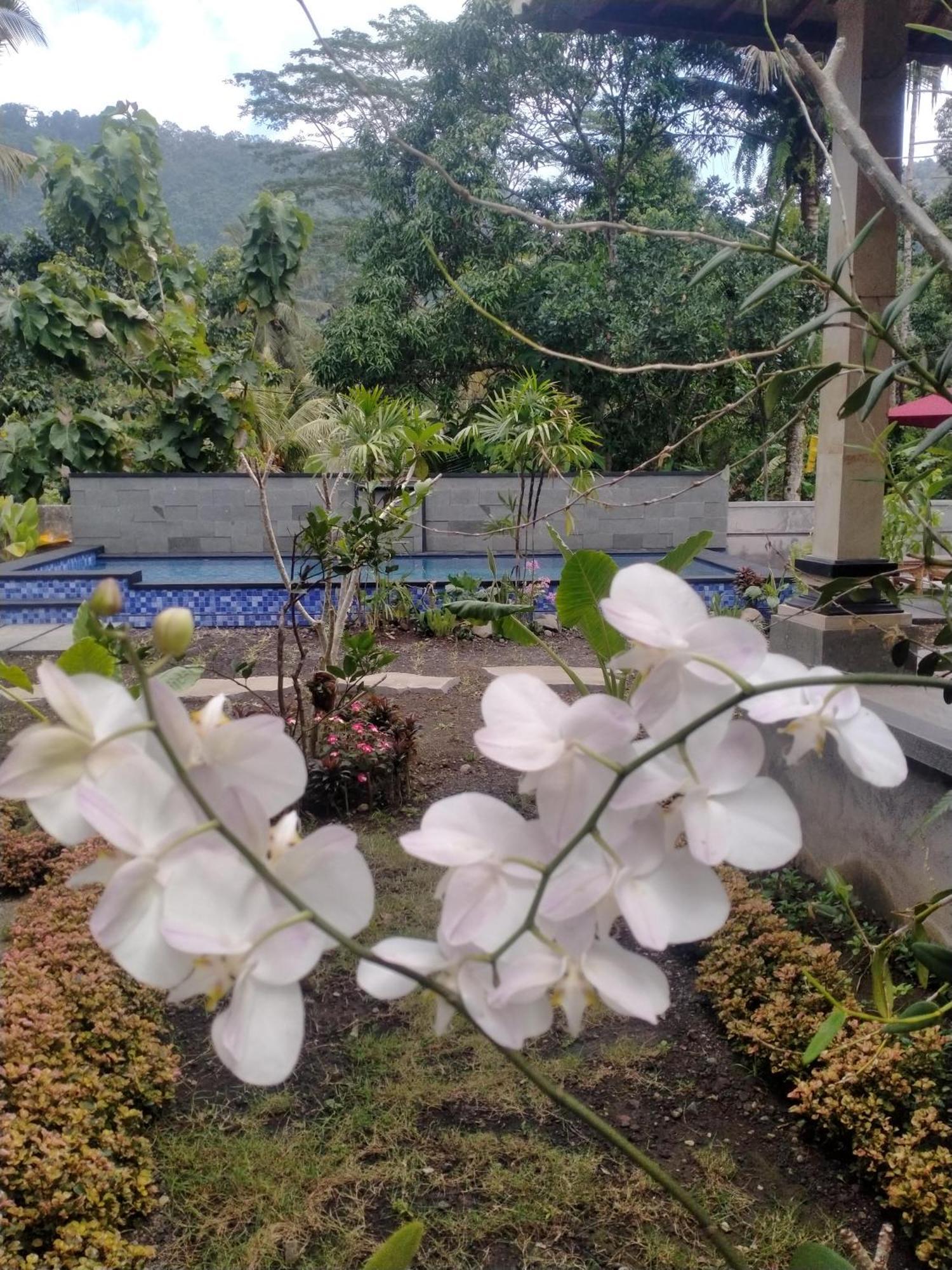 Intan Sidemen Villa Luaran gambar