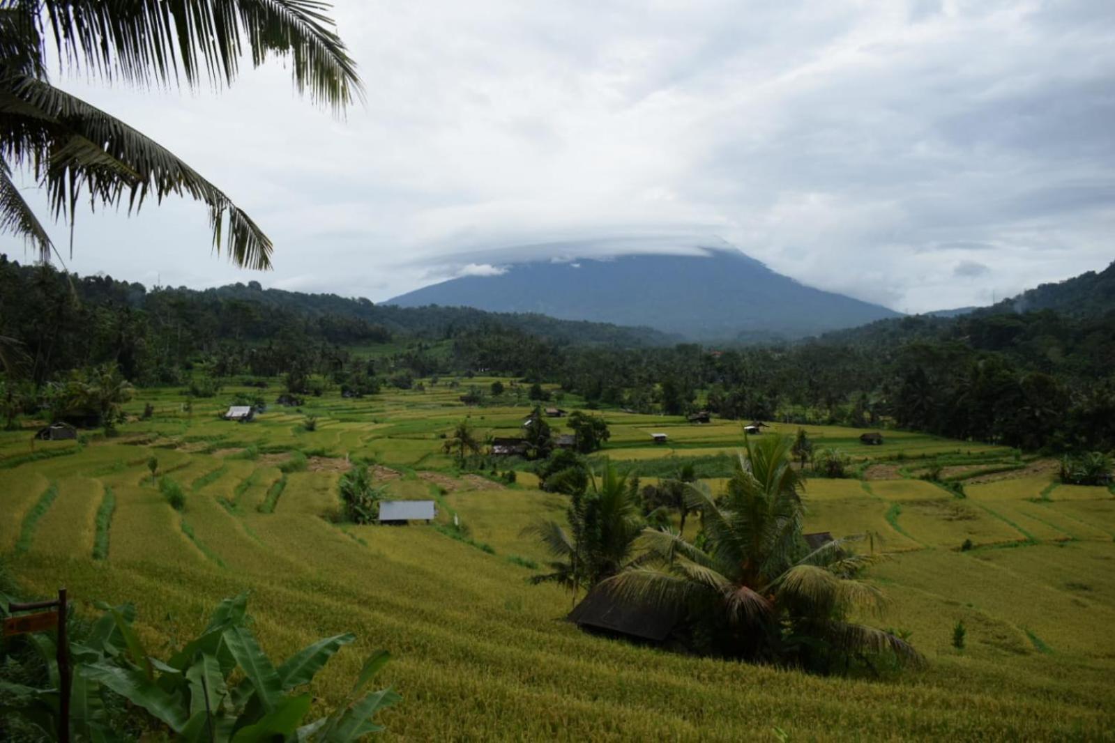 Intan Sidemen Villa Luaran gambar